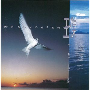 专找公务员老阿姨
